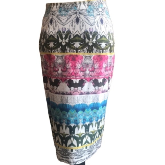V Christina Dresses & Skirts - 🌹 V Christina - Pencil Skirt size 4 🌹 NWOT